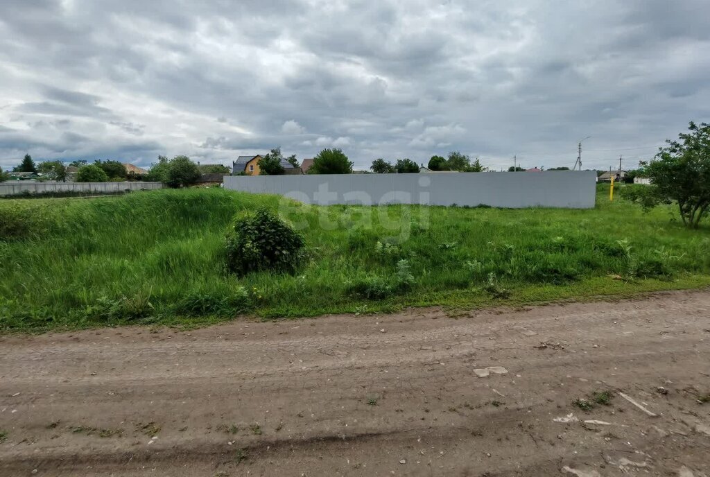 земля р-н Борисоглебский г Борисоглебск ул Плеханова фото 4