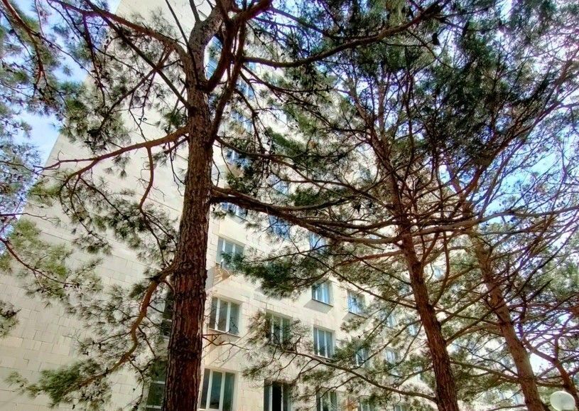 офис г Геленджик Толстый мыс ул Красногвардейская 38 фото 1