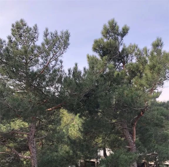 комната г Геленджик пр-кт Геленджикский 125 Центр фото 8