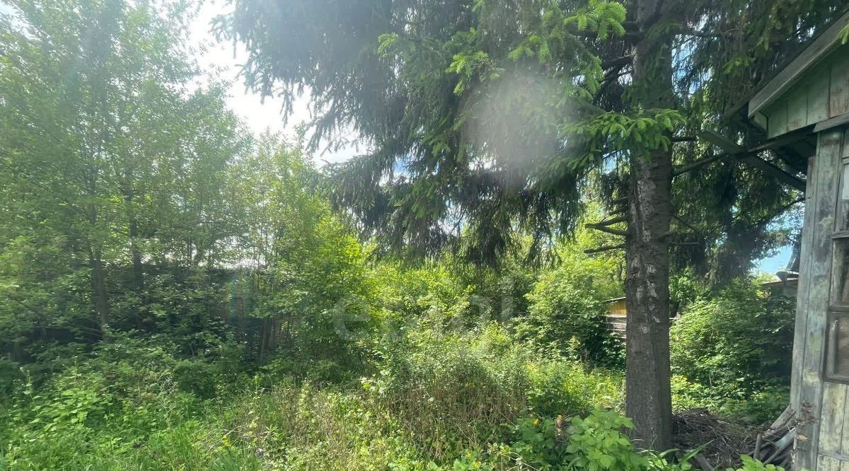 земля г Казань Яшьлек снт терПодгорный фото 9
