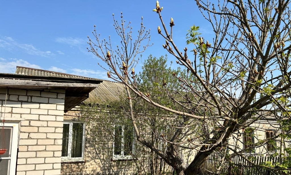 квартира р-н Балахнинский г Балахна ул Загородная 19 фото 1