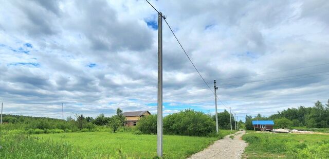 Первоцвет СНТ фото