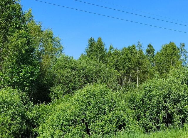 Гагаринское с пос фото