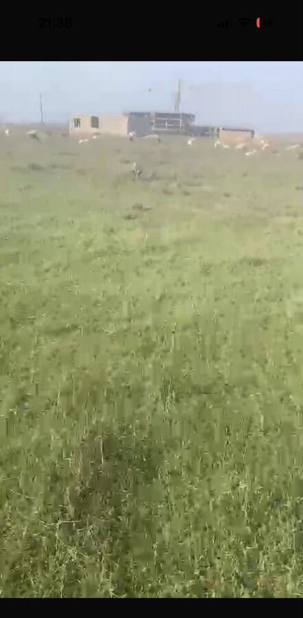 земля г Избербаш днп Волна 210 фото 3