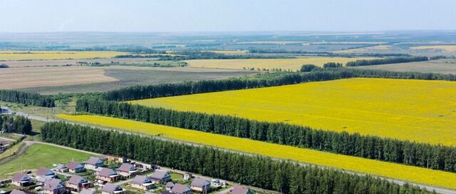 с Новая Беденьга Ишеевское городское поселение, Чистые пруды-2 кп фото