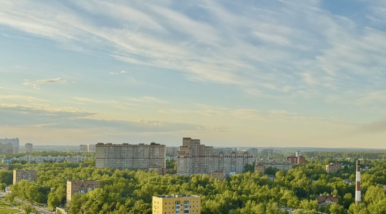 квартира г Пушкино ш Ярославское 149к/2 фото 4