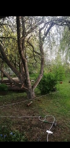 муниципальное образование Десногорск, дачный потребительский кооператив Ветеран, Центральная ул., 56 фото
