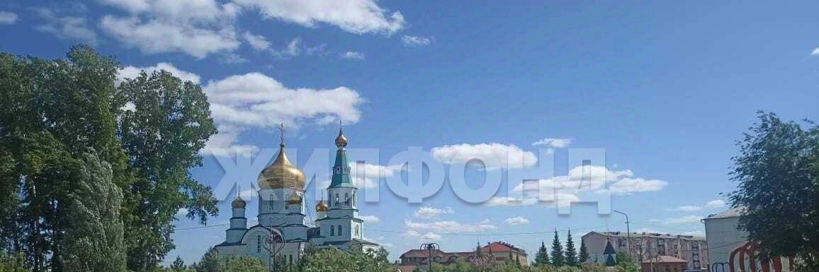 земля р-н Топкинский г Топки ул Соборная фото 12
