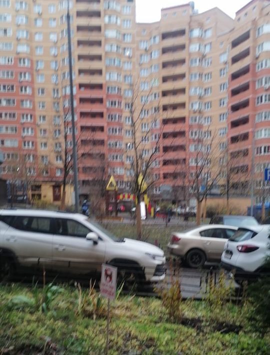 квартира г Видное б-р Зеленые аллеи 2 Царицыно фото 12