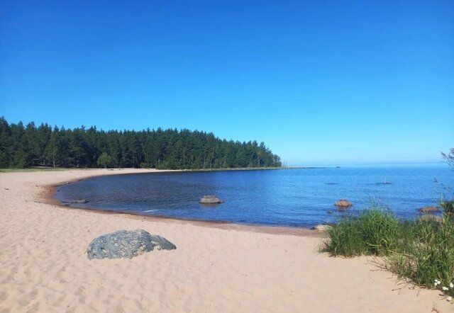 земля х Хяминлахти Ленинградская область, Кузнечное фото