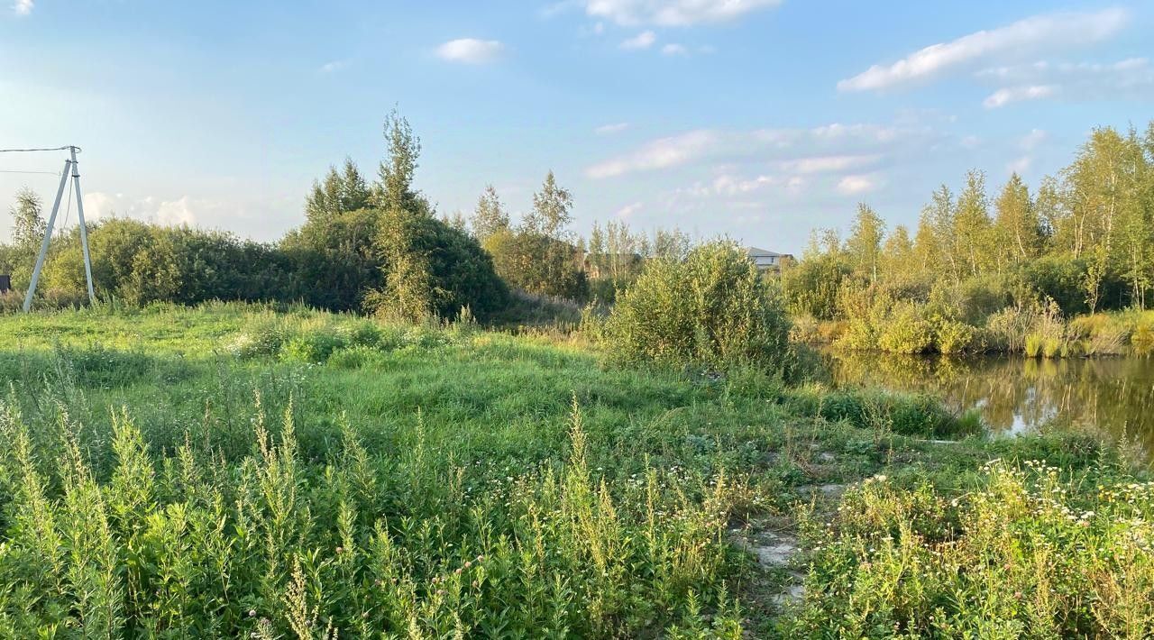 земля г Сергиев Посад снт Деулино пер Стойкий 3а Сергиево-Посадский городской округ фото 4