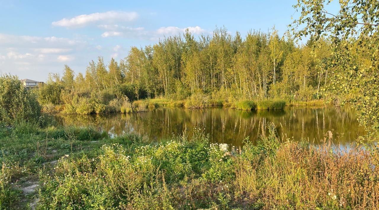 земля г Сергиев Посад снт Деулино пер Стойкий 3а Сергиево-Посадский городской округ фото 7