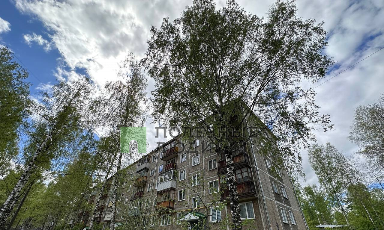 квартира г Киров р-н Октябрьский ул Лепсе 59 фото 13