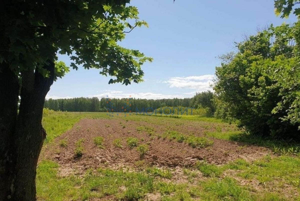 земля р-н Городецкий г Городец Кумохинский сельсовет фото 2