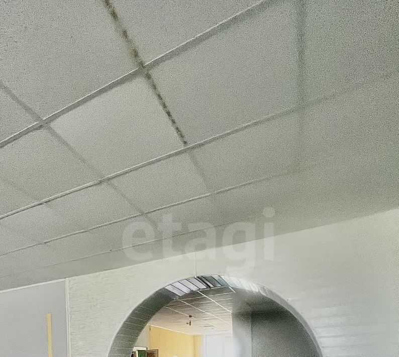 торговое помещение г Чусовой ул Коммунистическая 2 фото 5