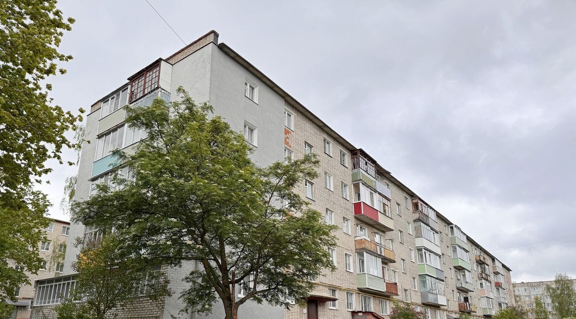 квартира р-н Кольчугинский г Кольчугино ул 50 лет Октября 24 фото 31