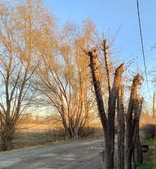 дом г Омск р-н Ленинский фото 16