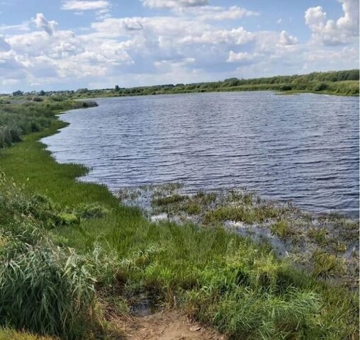 с Бритвино муниципальное образование Нижние Вязовые, Нижние Вязовые фото