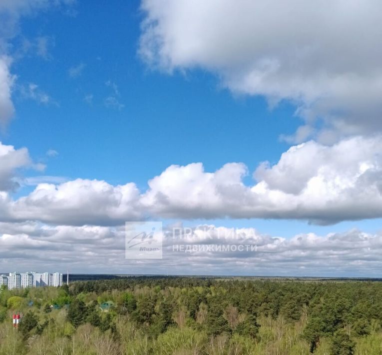 квартира городской округ Богородский г Ногинск ул 7-ая Черноголовская 17 фото 18