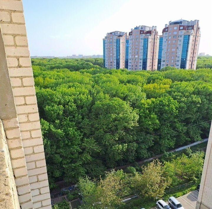 квартира г Ставрополь р-н Промышленный ул Ленина 466/2 фото 21