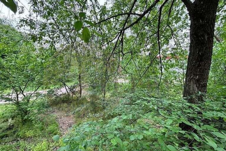 земля р-н Павловский г Павловск мкр-н Северный фото 6