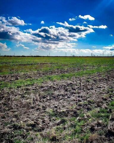 ул Ленина Абрикосовское сельское поселение, Старый Крым фото