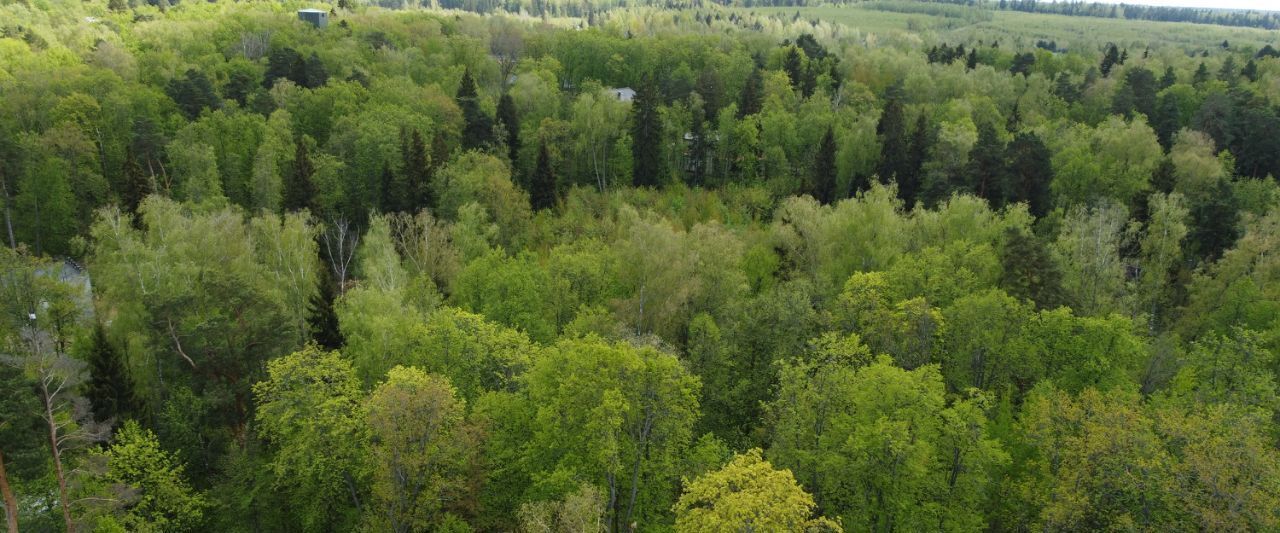 земля городской округ Одинцовский г Звенигород Благодать кп фото 3