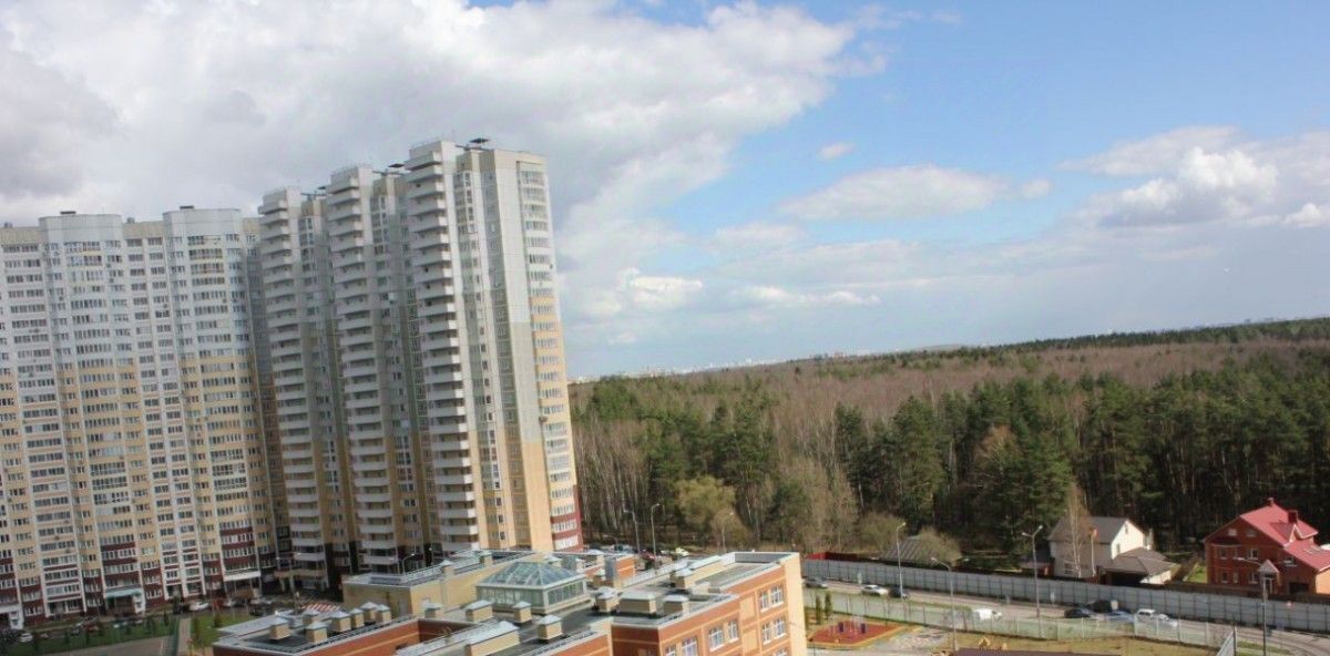 квартира г Москва п Внуковское ул Лётчика Грицевца 10 Пыхтино фото 24