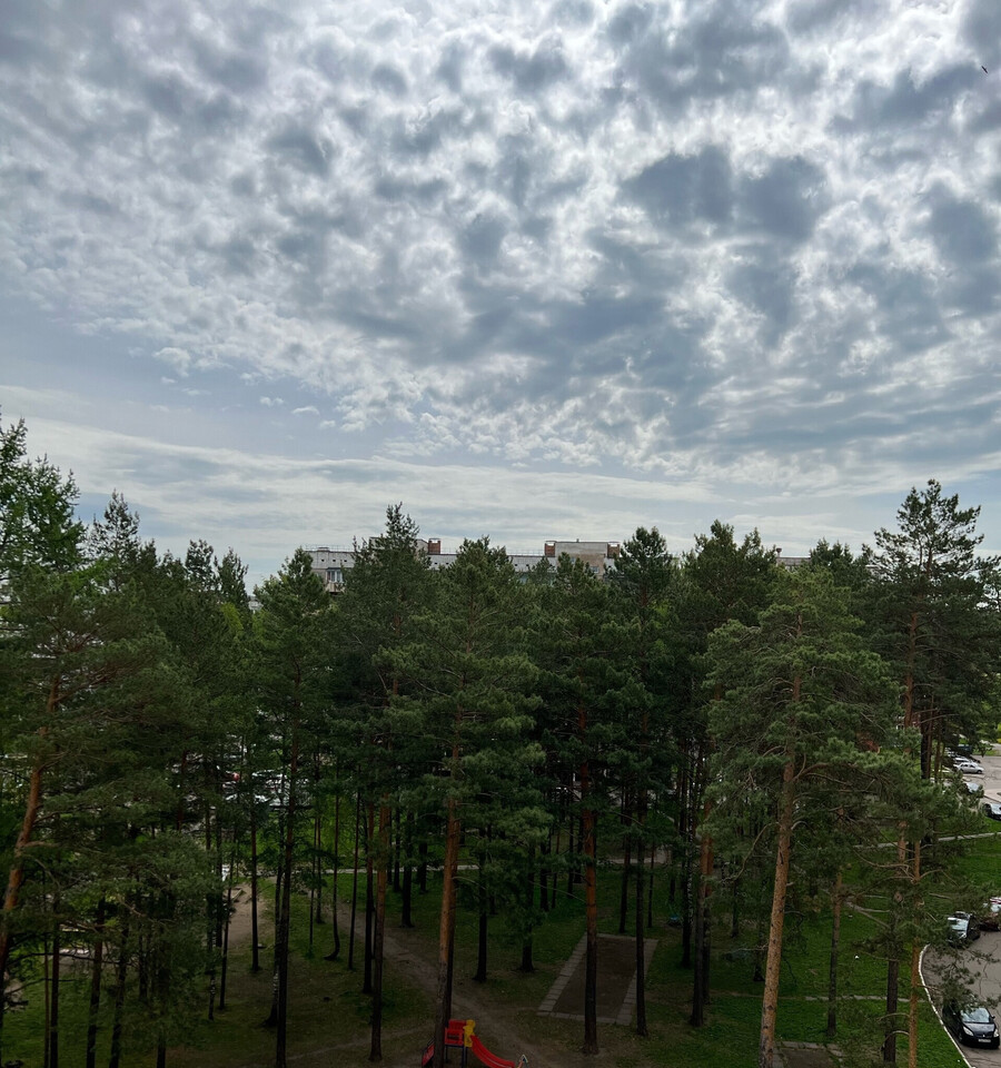 квартира г Железногорск пр-кт Ленинградский 107 Ленинградский м-н фото 5