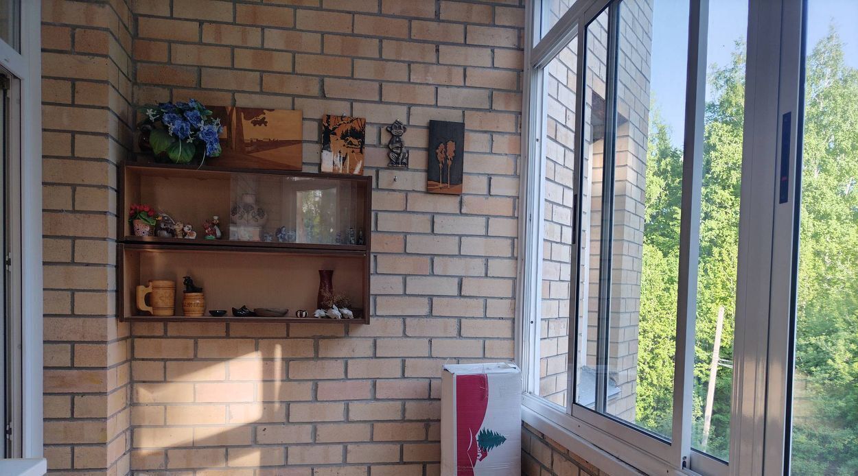 квартира г Новосибирск р-н Советский Академгородок пр-кт Академика Коптюга 5 фото 10