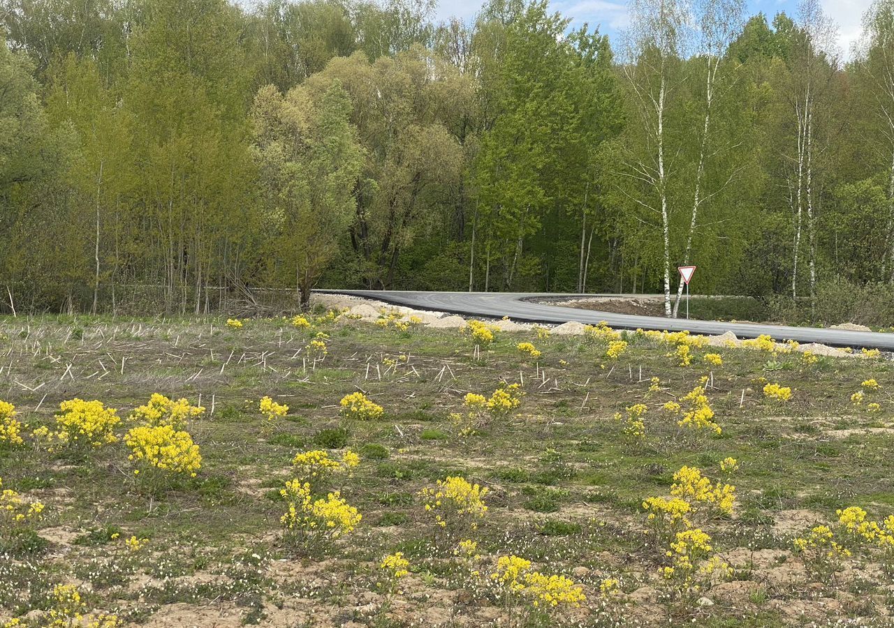 земля г Домодедово д Коченягино 45 км, Троицкое, Новокаширское шоссе фото 1