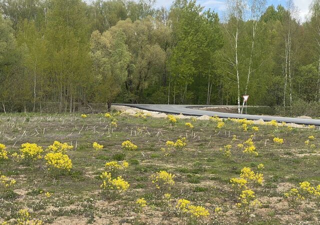 земля д Коченягино 45 км, Троицкое, Новокаширское шоссе фото