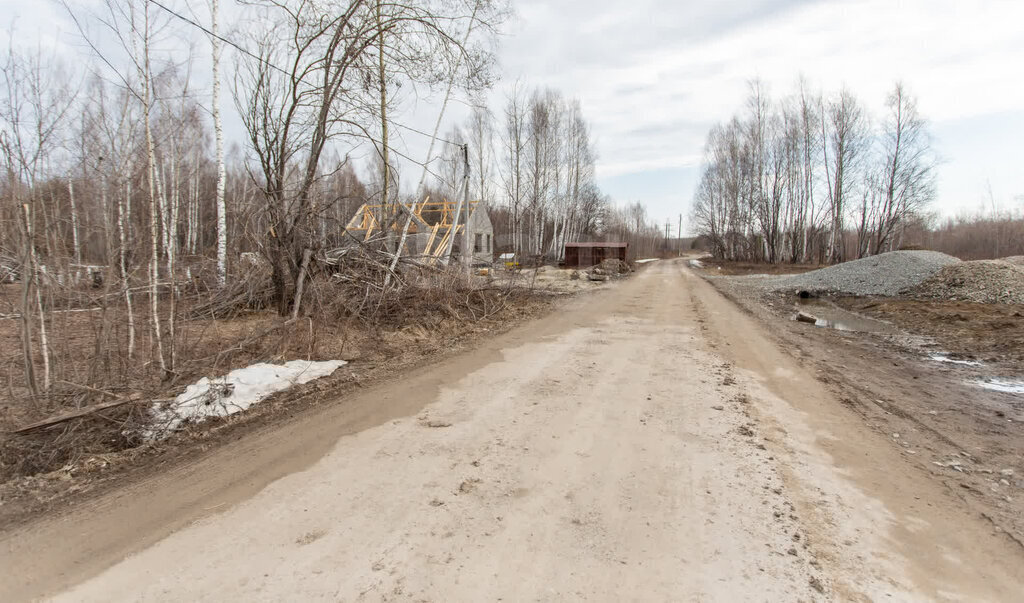 земля г Тобольск территория Панин Бугор, Кедровая улица фото 4