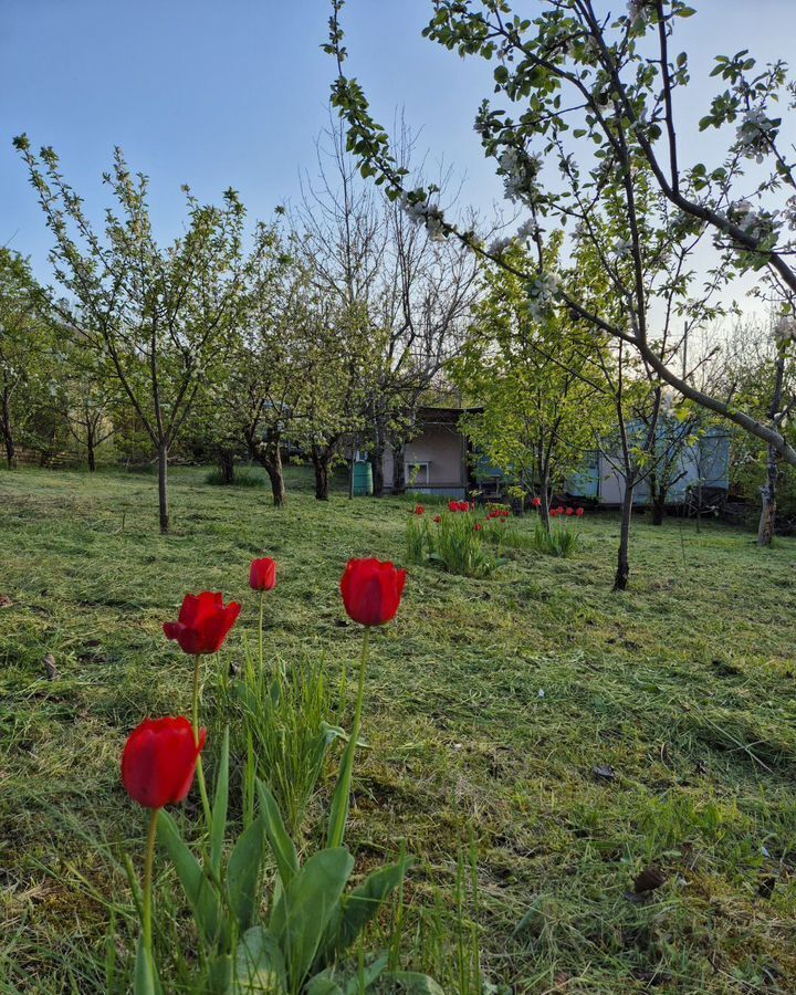 земля г Новороссийск х Горный п Верхнебаканский фото 2