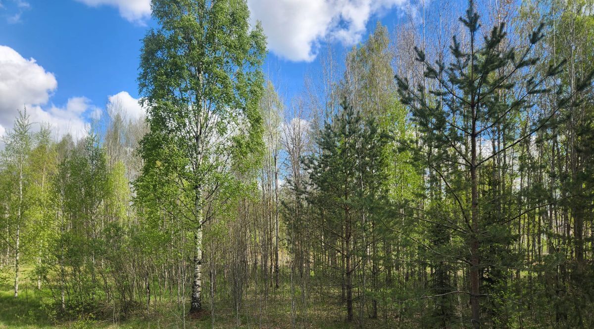 земля р-н Всеволожский г Всеволожск Проспект Большевиков, Лубья ДПК фото 2