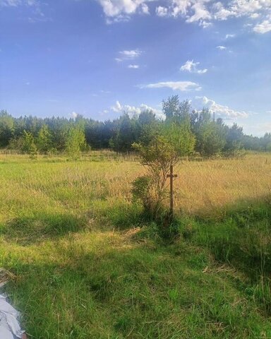 д Мисцево 82 км, Авсюнино, Егорьевское шоссе фото