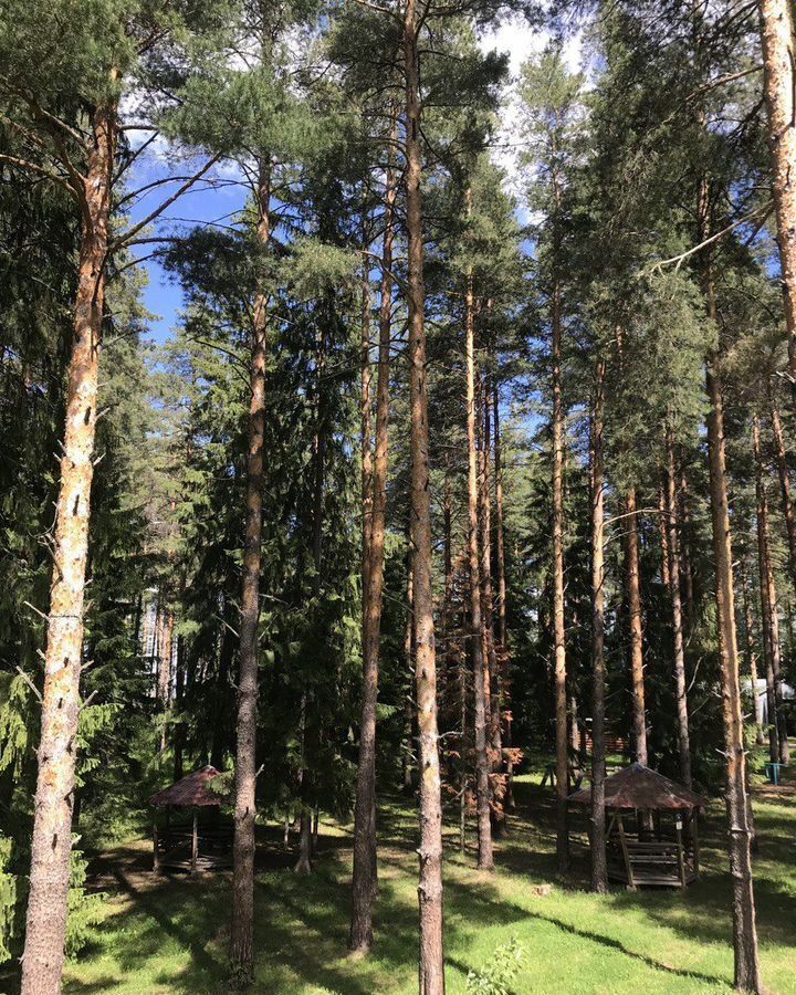 земля г Чайковский п Прикамский фото 2