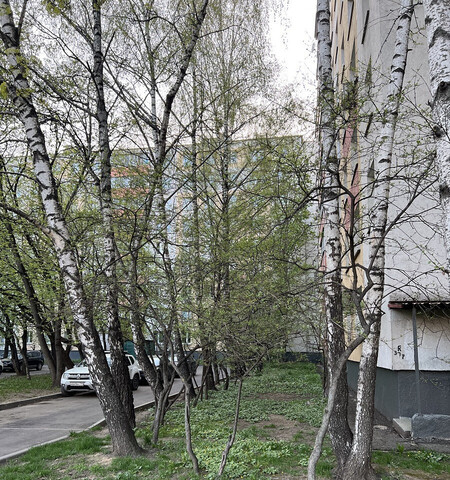 ул Голубинская 25/1 фото