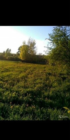 земля д Козлово Ижевск фото