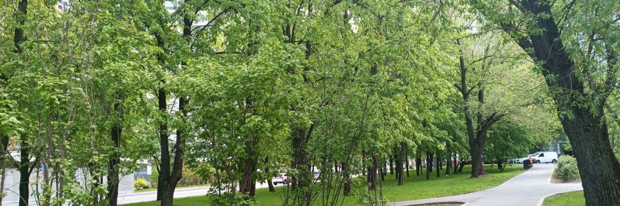 квартира г Москва метро Нагорная ул Криворожская 25 фото 23