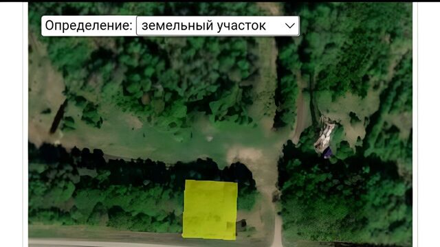д Савватьево фото