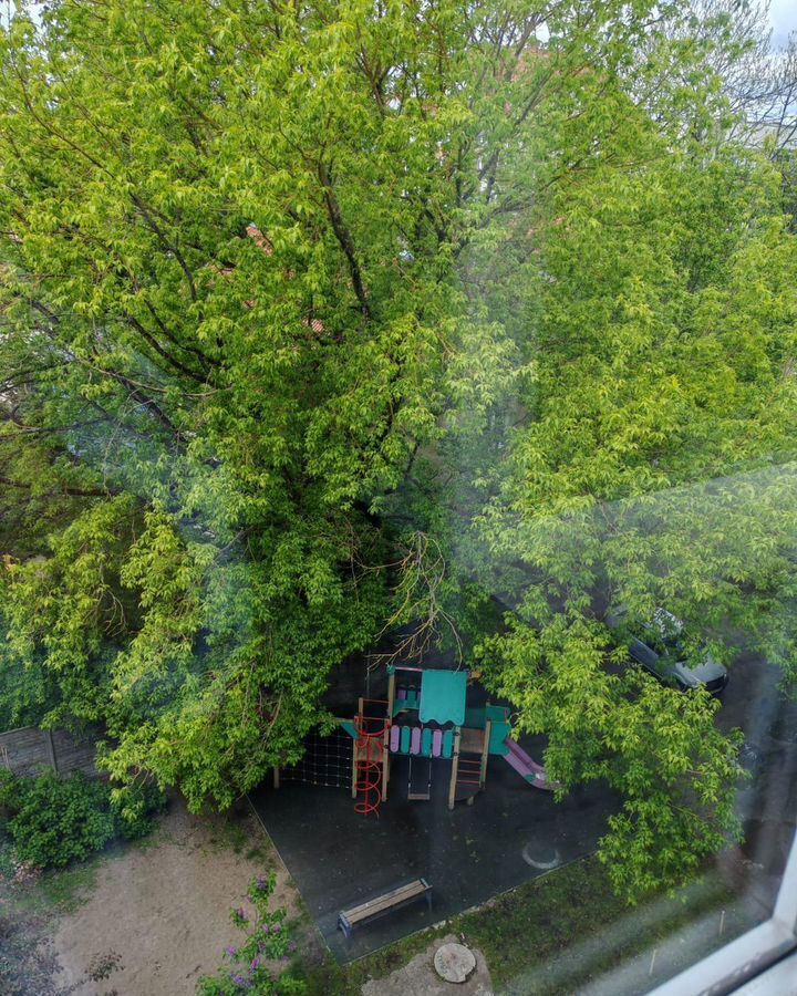 квартира г Калининград р-н Центральный ул Лейтенанта Яналова 34 фото 33