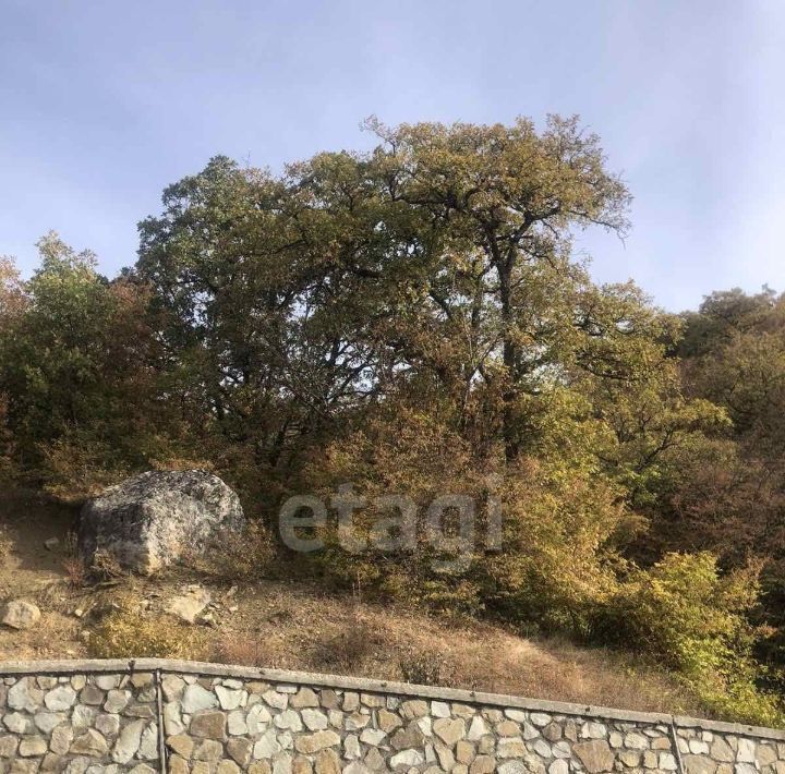 земля г Алушта с Нижняя Кутузовка пер. Южный, 47А фото 3