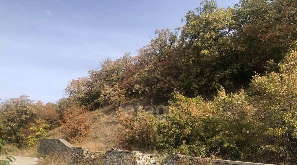земля г Алушта с Нижняя Кутузовка пер. Южный, 47В фото 6