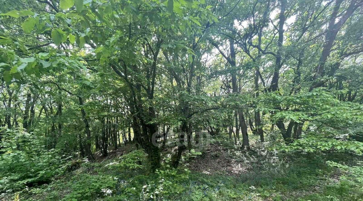 земля г Алушта п Лаванда мкр Заречный фото 9