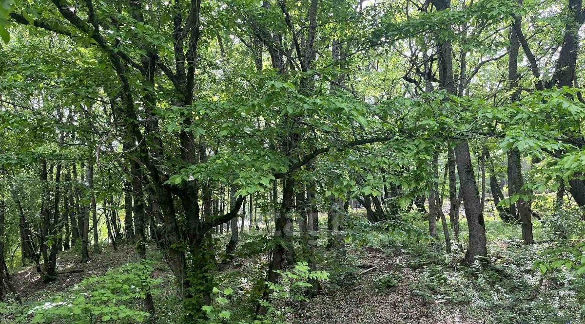 земля г Алушта п Лаванда мкр Заречный 13 фото 8