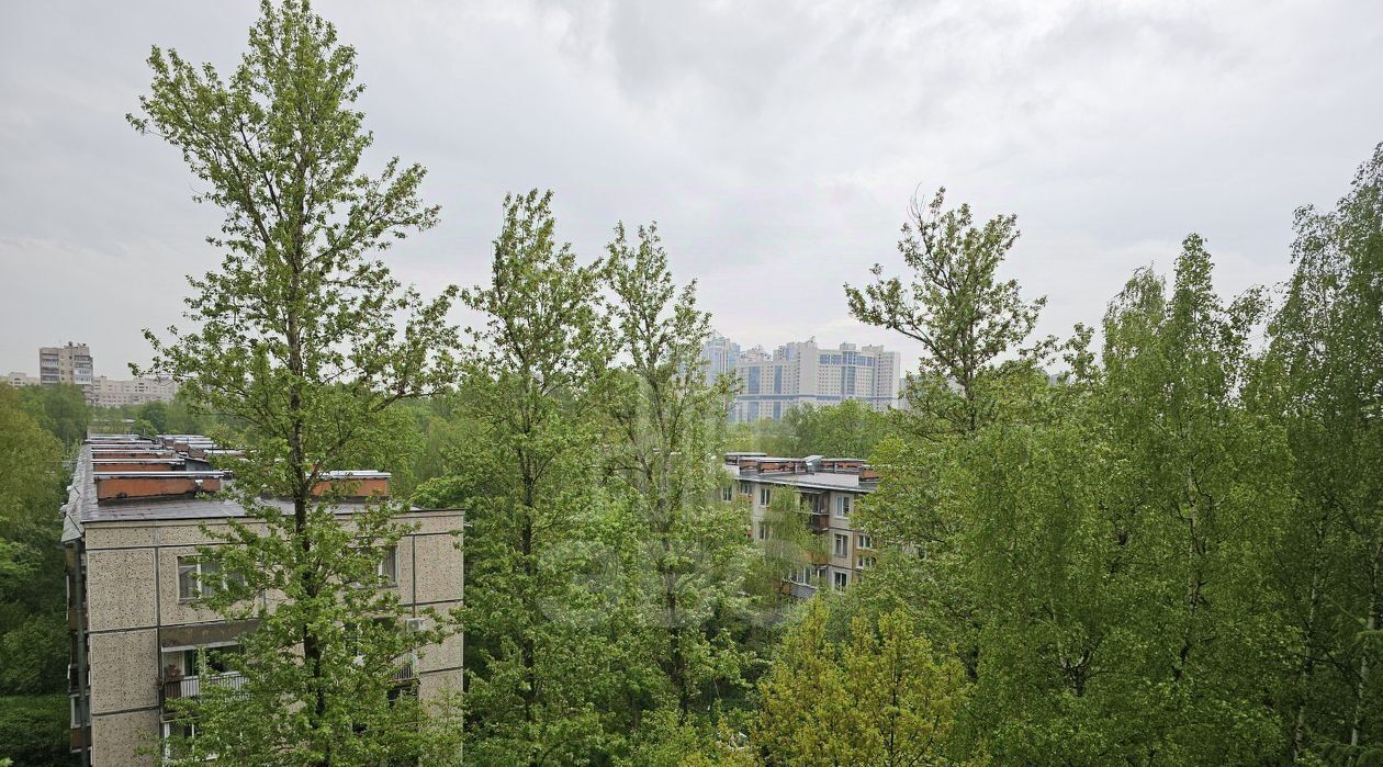 квартира г Санкт-Петербург метро Парк Победы пр-кт Витебский 29к/2 фото 6