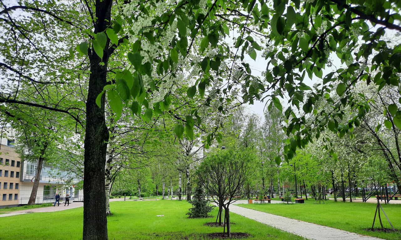 квартира г Санкт-Петербург Полюстрово пр-кт Пискарёвский 25/2 фото 24