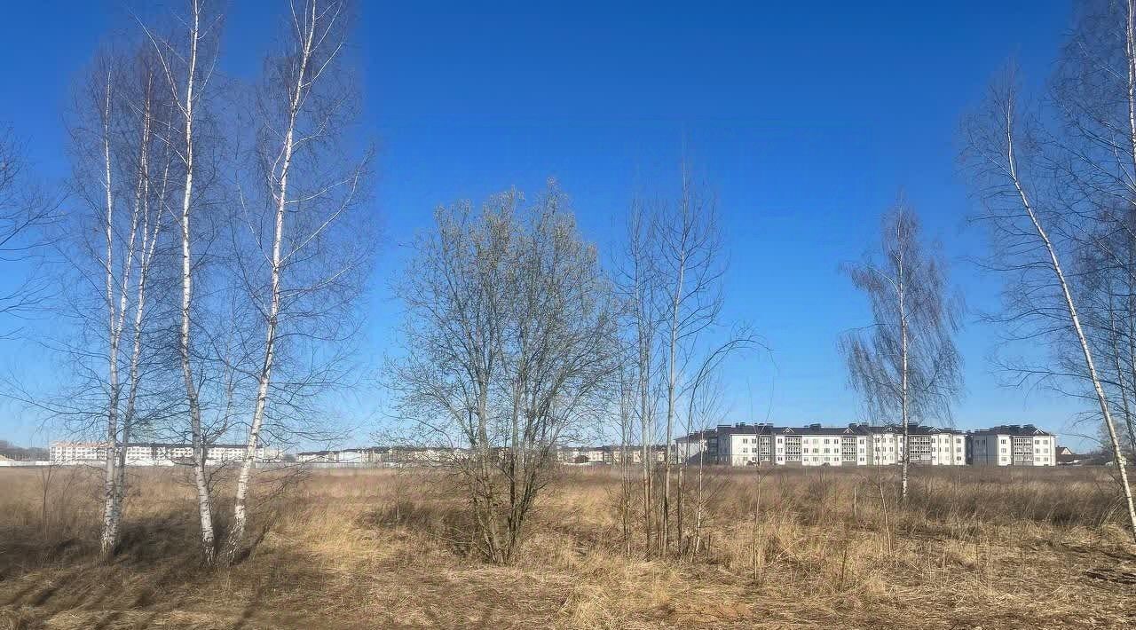земля г Муром ул Зарубина фото 4