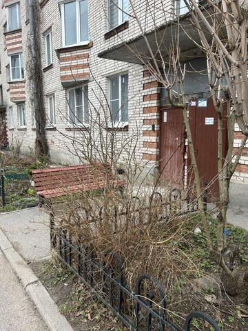 п Репино ш Приморское 423/2 р-н Курортный Ленинградская область фото